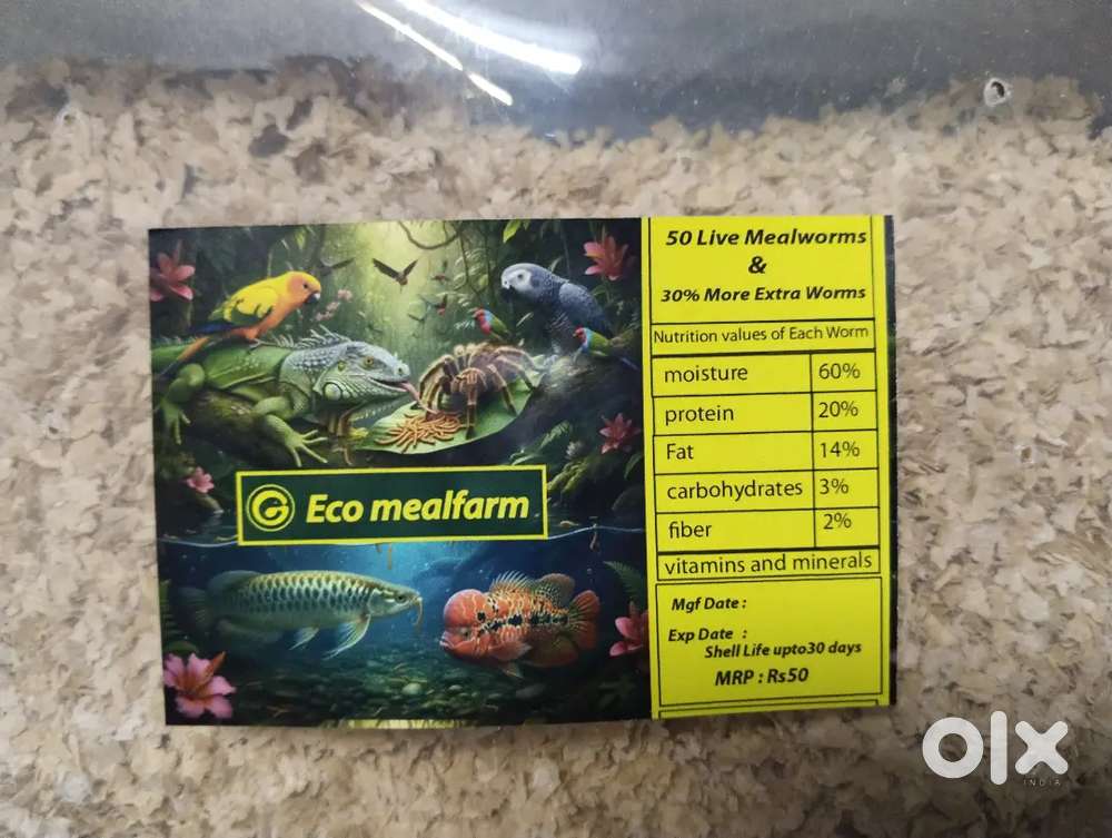 Meal worms