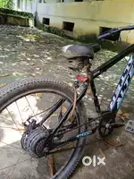 Alter electric cycle