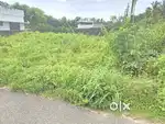 6CENT HOUSE PLOT MENAMKULAM CHITTATTUMUKKU