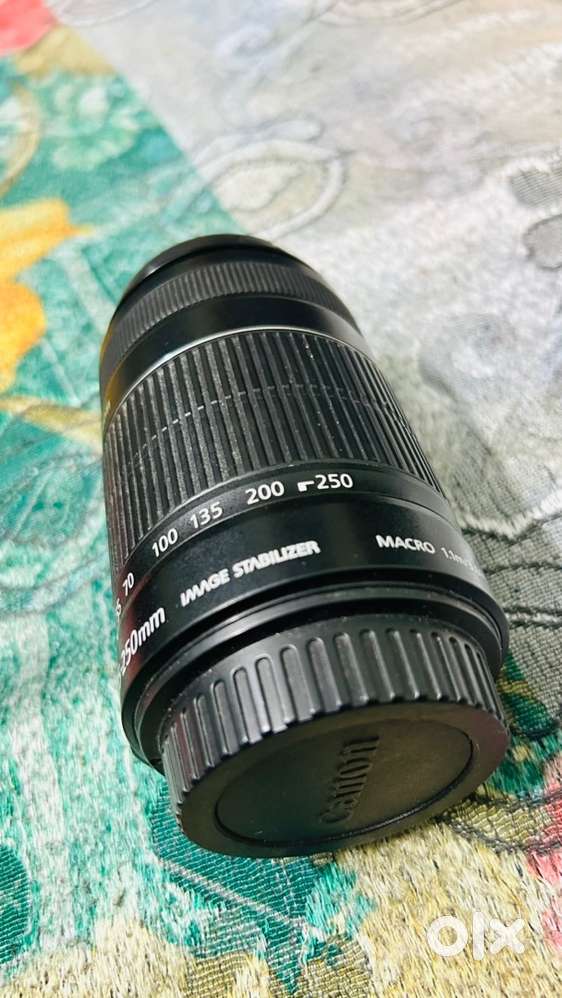 Canon 55-250 Lense