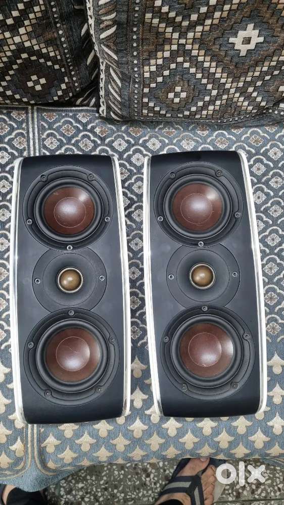 Dali motif hi-end bookshelf speakers