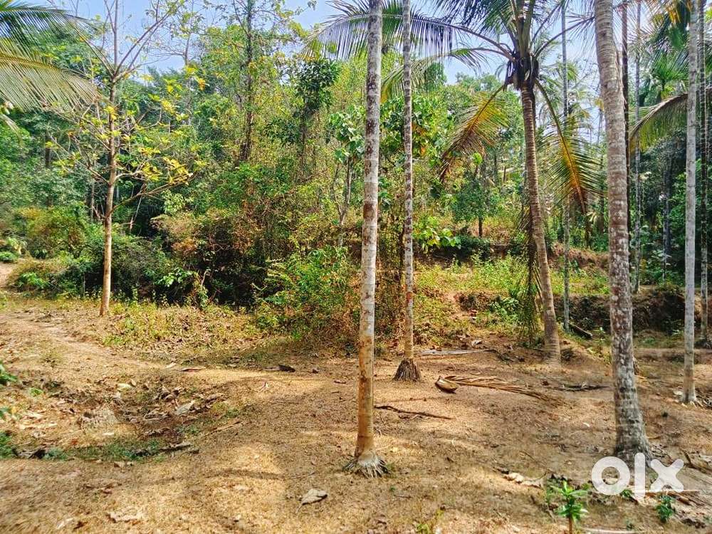 HOUSE PLOT FOR SALE