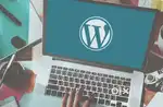 We're Hiring - Wordpress Developer