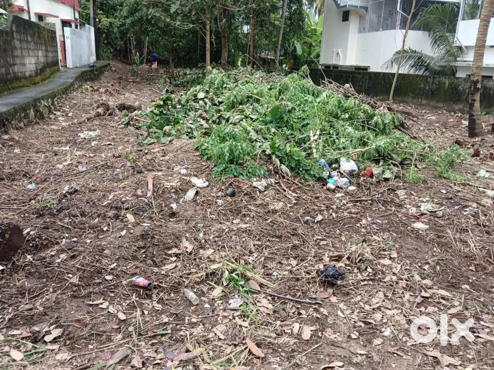 5 cent land near MC Road, Mannanthala