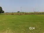 Farm House Ke liye Plots Prayagraj mein 500 gaj bas 33 lacs mein