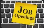 It's job for all unemployed