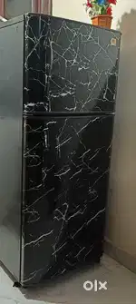 165 litres double door frost-free Refrigerator