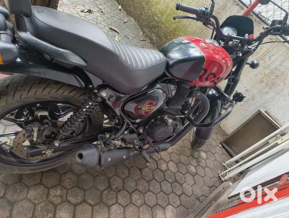 1year full insurance