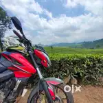 NS 200 for sale | KTM | Ns200 | Rs 200 | CBR | Duke | Bs3