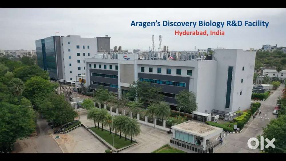 *REQUIRED LAB-BOYS IN ARAGEN COMPANY-IDA NACHARAM LOCTION.