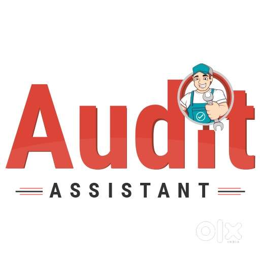 Audit assistant