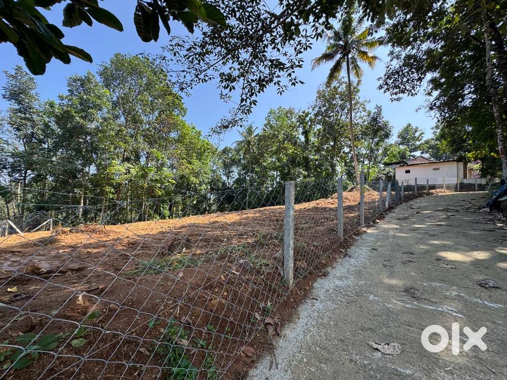 Ranni plankamon 25 cent plot for sale