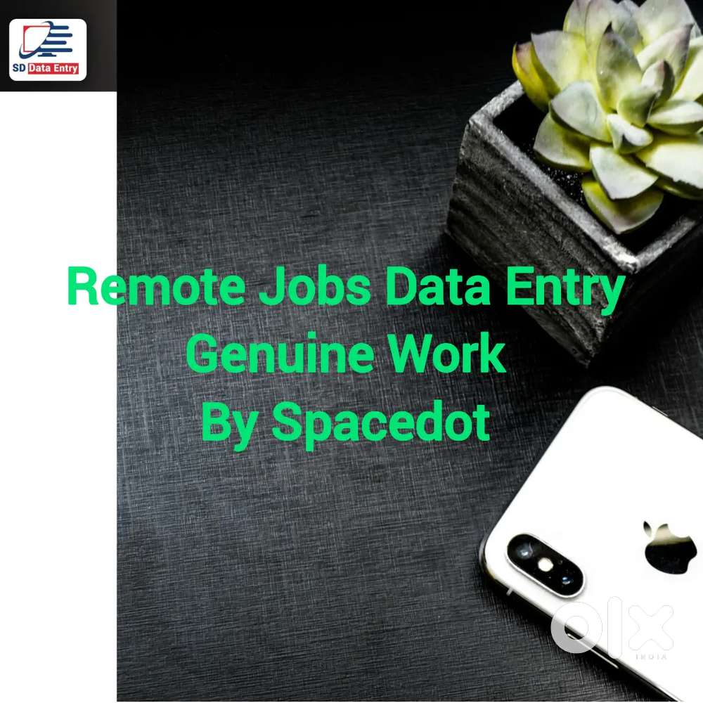 Simple Remote Jobs Data Entry