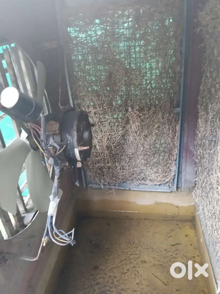 Cooler in best condition