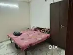 Female  Room mate Required