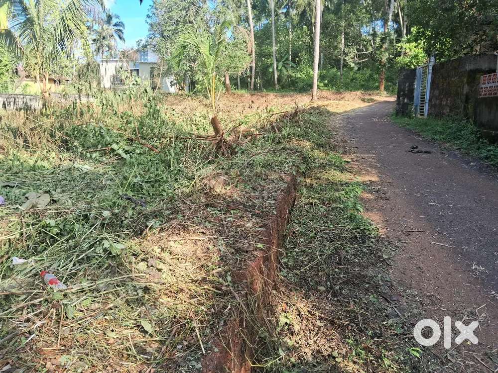 Up to25 cents residential plot available near chevarambalam cwrdm road