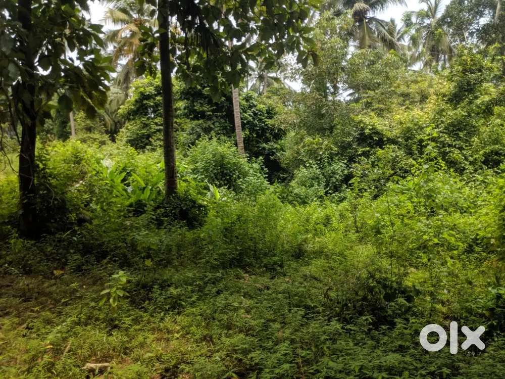 10 cent parambu for sale near karuvasseri