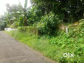 9 Cent Commercial Ad Residential Plot For Sale Aluva Town