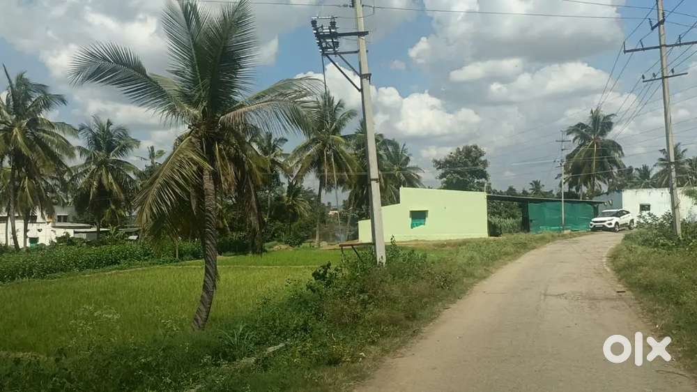 Premium farm land for sale Kanakapura sathnur hobli