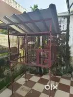 Love birds cage