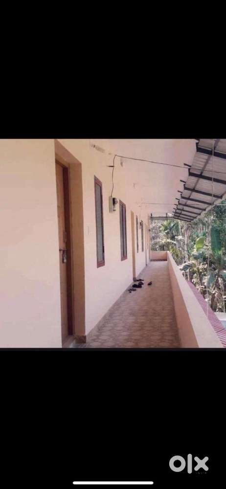 Flat rent @ Akkikavu near psm college,Royal college, perumpilav