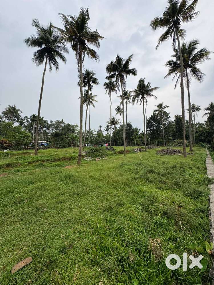 5, 8 cent house plot @ Moonnamparambu, near Angamaly