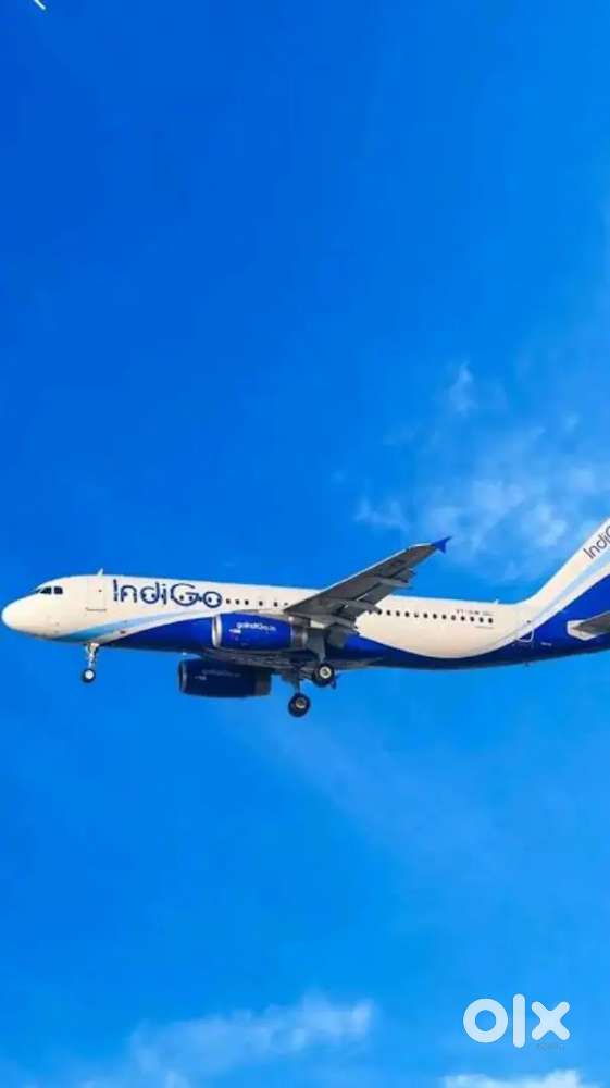 Urgent Requirement For Ground Staff Jobs In IndiGo Airlines