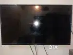 Tv 42 sall