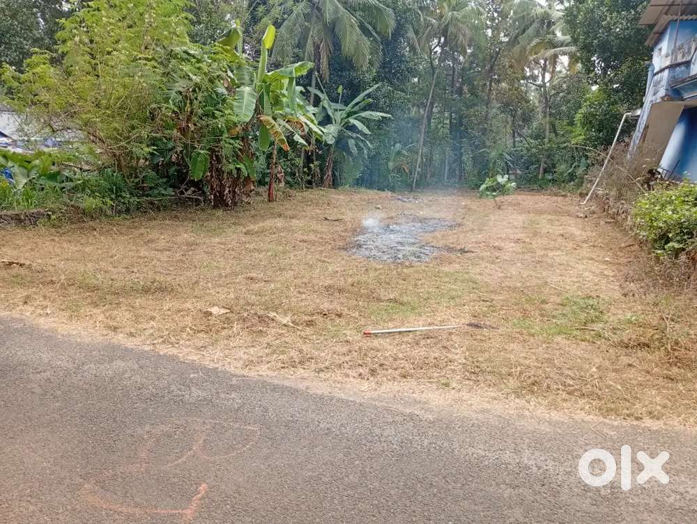 Plot for sale in Mattampuram