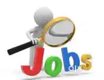 Urgent wanted female candidates for job