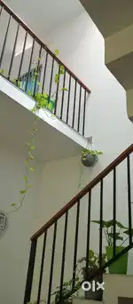 House  in Thrippunithura, 3 bhk with 2 car parking