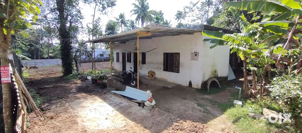 10 Cents Plot with old house (4bhk)