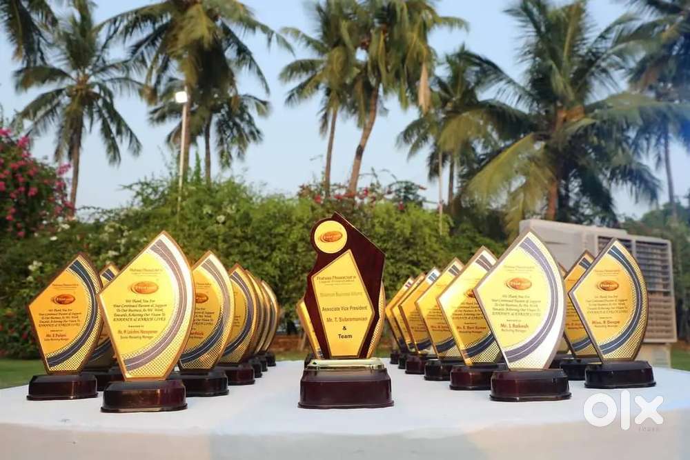 Real estate field 30k income telecalling