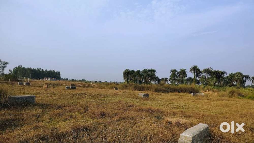 Urgent plot sale bankura