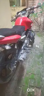 Pulsar LS 135