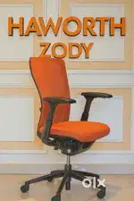 Haworth zody