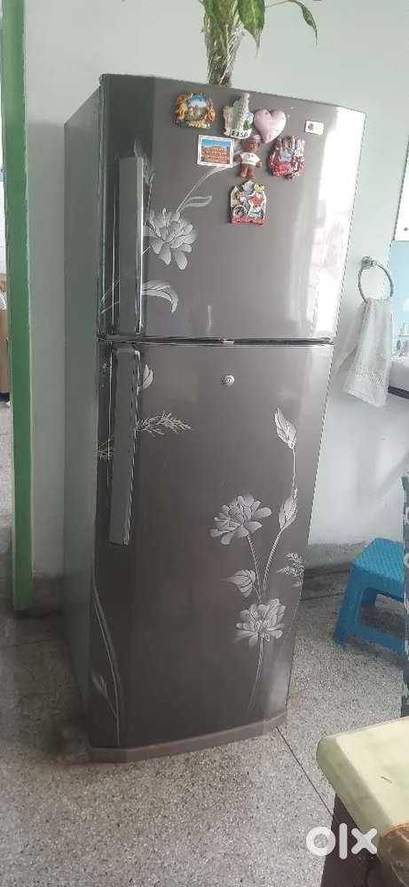 Double Door LG refrigerator