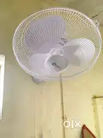 Orient wall fan for sale