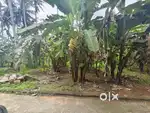 (ID-K226859) Residential 3 Cent Car way Land for Sale at Parottukonam.