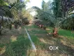 The property is in main road near to mannargudi