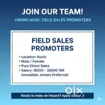 Sales executive