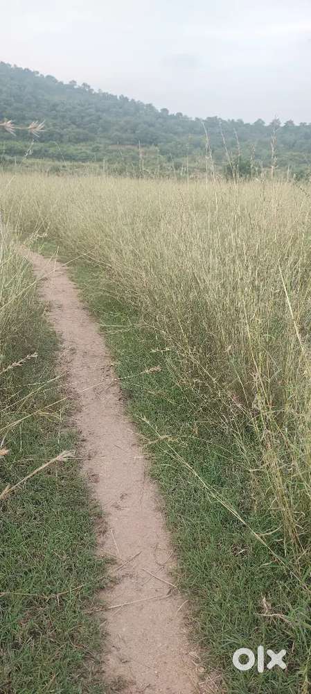 Tractor Driver Required