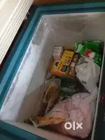 Blue Star 165 L Deep Freezer