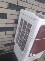 Best cooler