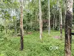 41 Acre rubber purayidam in BTR   Kanjirappally suitable for factory,