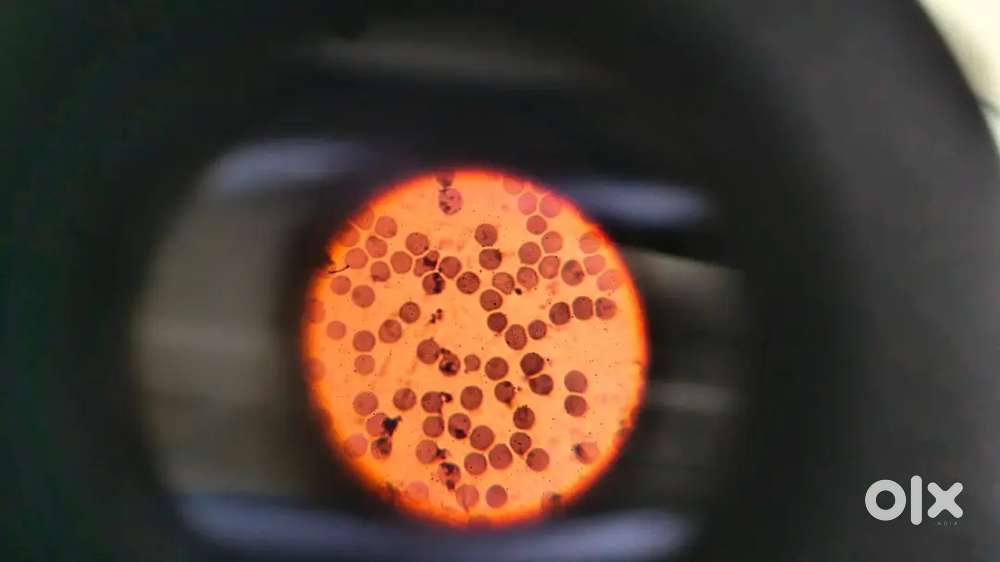 Interested in buying 1st year MBBS books