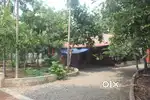 KAKKANAD PUKKATTUPADY 17 CENT