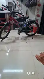 Bravo company bird Bicycle