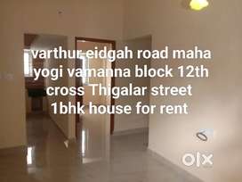 1 bhk house, 11 house there for rent