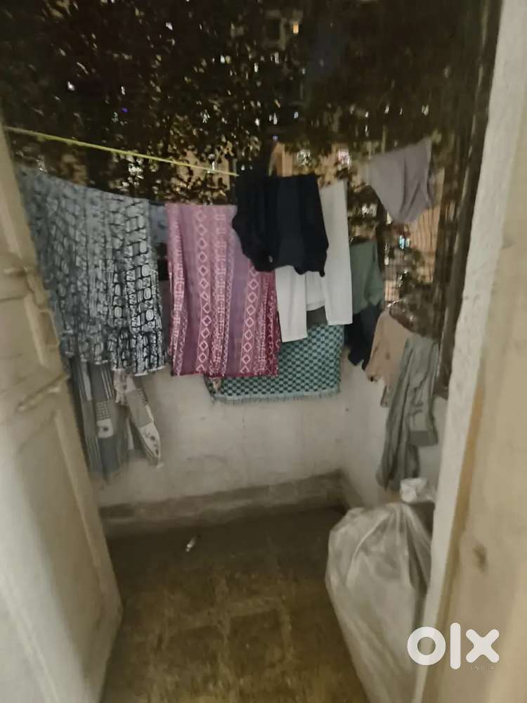 Looking girl room mate